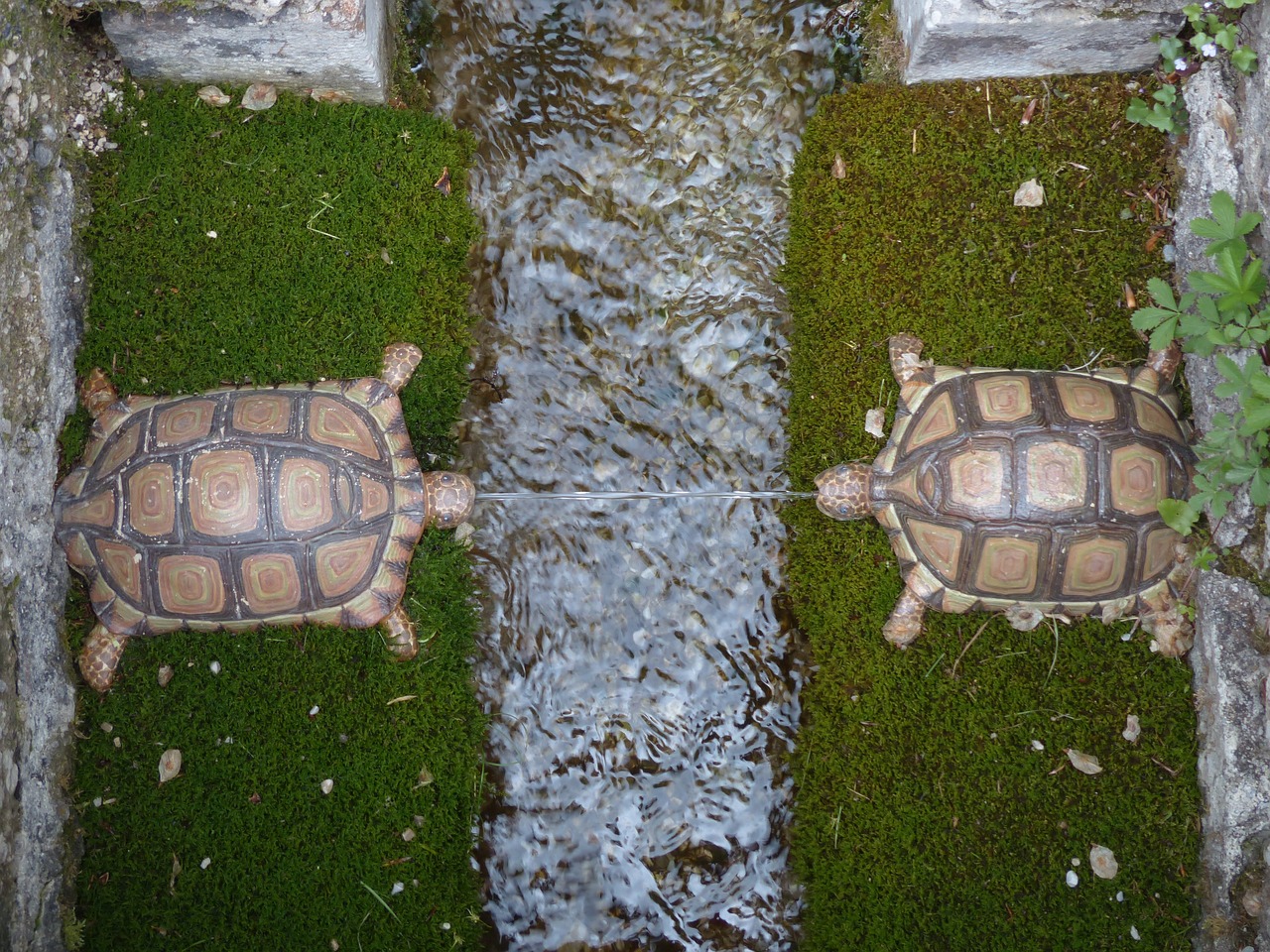 How to Create a Water Feature in Your Backyard